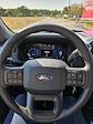 2024 Ford F-150 Regular Cab 4x2 Pickup for sale #242713 - photo 6