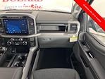2024 Ford F-150 SuperCrew Cab 4x2 Pickup for sale #243647 - photo 13