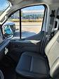 2024 Ford Transit 150 Low Roof RWD, Empty Cargo Van for sale #244326 - photo 11