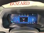 2024 Ford F-150 Regular Cab 4x4 Pickup for sale #245444 - photo 10