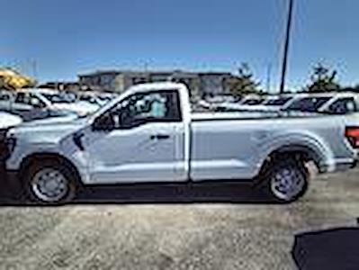 2024 Ford F-150 Regular Cab 4x2 Pickup for sale #245807 - photo 1