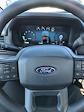 2024 Ford F-150 Regular Cab 4x2 Pickup for sale #245807 - photo 10