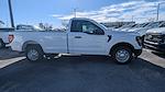 2024 Ford F-150 Regular Cab 4x2 Pickup for sale #245808 - photo 3