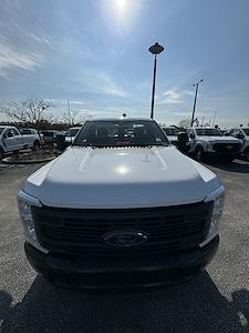 2024 Ford F-150 Regular Cab 4x4 Pickup for sale #246093 - photo 1
