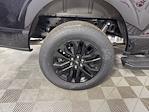 2025 Ford F-150 SuperCrew Cab 4x4 Pickup for sale #251123 - photo 32