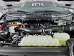 2025 Ford F-150 SuperCrew Cab 4x4 Pickup for sale #251283A - photo 32