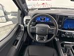2025 Ford F-150 SuperCrew Cab 4x4 Pickup for sale #251284 - photo 11