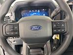 2025 Ford F-150 Regular Cab 4x2 Pickup for sale #251527 - photo 16