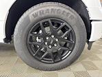2025 Ford F-150 SuperCrew Cab 4x2 Pickup for sale #251612 - photo 24