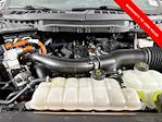 2024 Ford F-150 SuperCrew Cab 4x4 Pickup for sale #251868A - photo 31