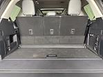 2025 Ford Expedition 4x2 SUV for sale #252942 - photo 25
