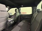 2025 Ford F-150 SuperCrew Cab 4x2 Pickup for sale #252959 - photo 23