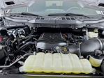 2024 Ford F-150 SuperCrew Cab 4x4 Pickup for sale #253174A - photo 30