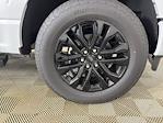 2025 Ford F-150 SuperCrew Cab 4x4 Pickup for sale #253191 - photo 27