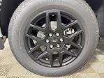 2025 Ford F-150 SuperCrew Cab 4x4 Pickup for sale #253297 - photo 20