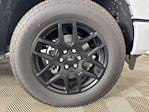 2025 Ford F-150 SuperCrew Cab 4x4 Pickup for sale #253337 - photo 24