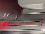 2025 Ford F-150 Regular Cab 4x2 Pickup for sale #253456 - photo 18