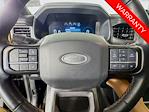 2024 Ford Expedition 4WD SUV for sale #253677A - photo 11