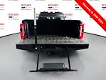 2024 Ford F-350 Crew Cab SRW 4WD Pickup for sale #253842A - photo 34