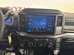 2025 Ford F-150 SuperCrew Cab 4x4 Pickup for sale #254063 - photo 16