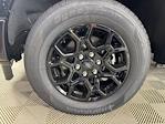 2025 Ford F-150 SuperCrew Cab RWD Pickup for sale #254187 - photo 24