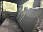 2025 Ford F-150 SuperCrew Cab 4WD Pickup for sale #254539 - photo 17