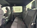 New 2025 Ford F-150 STX SuperCrew Cab for sale #254678 - photo 19