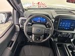 2025 Ford F-150 SuperCrew Cab 4WD Pickup for sale #254696 - photo 11