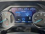 2023 Ford F-150 SuperCrew Cab 4WD Pickup for sale #254874A - photo 14