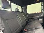 New 2025 Ford F-150 Tremor SuperCrew Cab for sale #255005 - photo 24