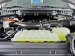 2025 Ford F-150 SuperCrew Cab 4WD Pickup for sale #255006 - photo 32