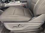 New 2025 Ford F-150 XLT SuperCrew Cab for sale #255026 - photo 17