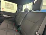 New 2025 Ford F-150 XLT SuperCrew Cab for sale #255026 - photo 19
