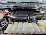 2022 Ford F-150 SuperCrew Cab 4WD Pickup for sale #255084A - photo 34