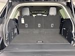 2025 Ford Expedition 4WD SUV for sale #255110 - photo 26