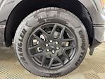 New 2025 Ford F-150 STX SuperCrew Cab for sale #255442 - photo 24