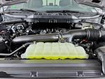 2025 Ford F-150 SuperCrew Cab 4WD Pickup for sale #255792 - photo 32