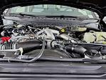 New 2026 Ford F-250 XLT Crew Cab for sale #260752 - photo 27
