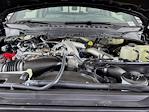 New 2026 Ford F-250 Platinum Crew Cab for sale #260954 - photo 32
