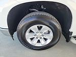 2024 Chevrolet Silverado 1500 Regular Cab RWD Pickup for sale #12896 - photo 31