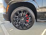 2025 Cadillac Escalade 4WD SUV for sale #12919 - photo 34
