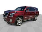 2019 Cadillac Escalade 4WD SUV for sale #25-8530A - photo 5