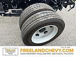 2024 Chevrolet LCF 5500HD Regular Cab 4x2 Cab Chassis for sale #R7902156 - photo 14