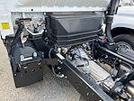 2024 Chevrolet LCF 4500HG Regular Cab 4x2, Cab Chassis for sale #RS208575 - photo 14