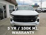 2024 Chevrolet Silverado 1500 Regular Cab 4x2 Pickup for sale #12433T - photo 3