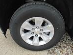 2024 Chevrolet Silverado 1500 Regular Cab 4x2 Pickup for sale #12433T - photo 26