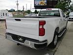 2024 Chevrolet Silverado 1500 Regular Cab 4x2 Pickup for sale #12433T - photo 5
