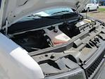 2022 Chevrolet Express 3500 RWD Passenger Van for sale #12435T - photo 21