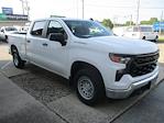 2023 Chevrolet Silverado 1500 Crew Cab 4x2 Pickup for sale #12480T - photo 4