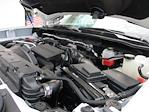 2024 Chevrolet Silverado 3500 Crew Cab 4x4 Pickup for sale #12487T - photo 17